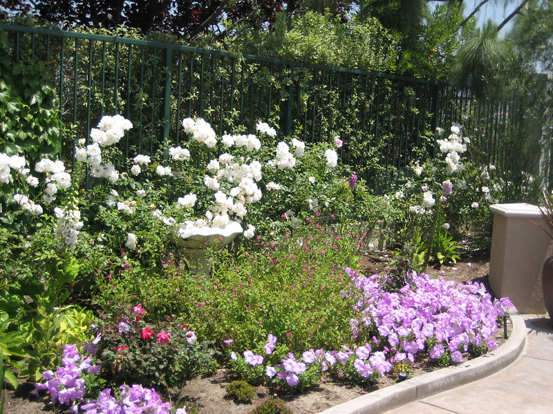 Garden Landscape Design landscape design Orange County Cottage Garden Landscape Design Cottage Garden Landscape Design In Oc Garden Landscape Design best 25 landscaping ideas ideas on pinterest Orange County Cottage Garden Landscape Design Cottage Garden Landscape Design In Oc
