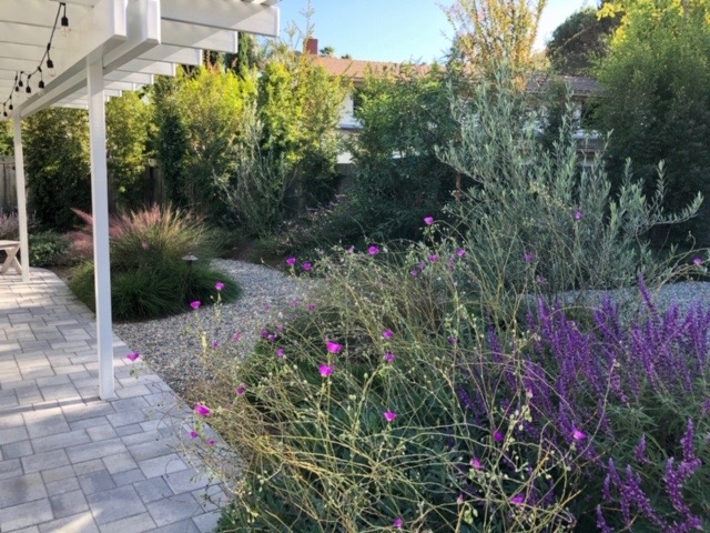cottage garden landscape design photos cottage garden landscape design photos