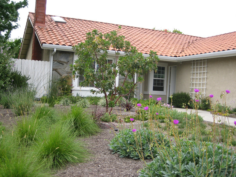 Lose The Lawn" - Drought Tolerant Landscape Design