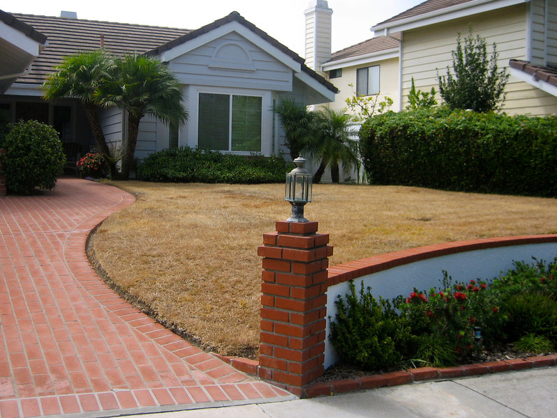 Landscape Ideas For Backyards
