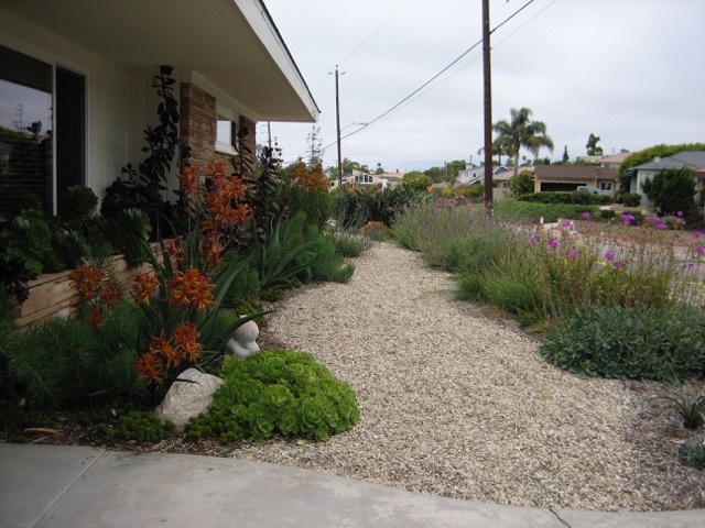 Drought Tolerant Landscape Design Photo Gallery