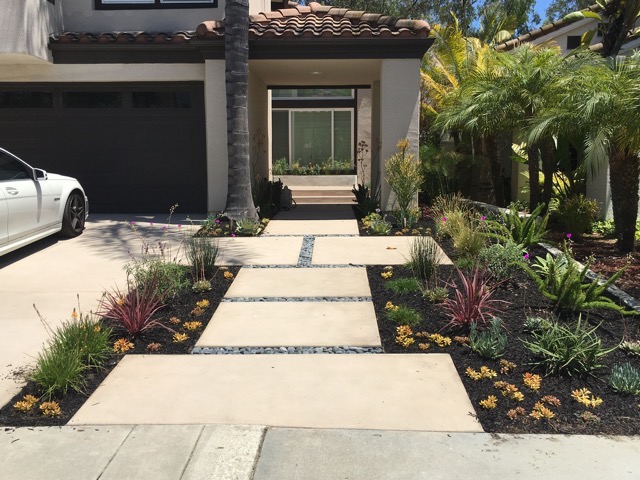 Drought Tolerant Landscape Design Photo Gallery