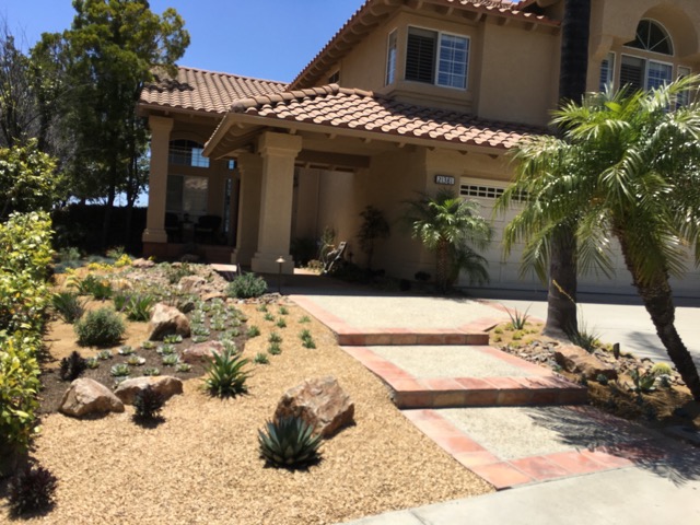 drought tolerant landscape design