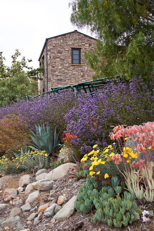 Landscape Design In Orange County Photo Gallery