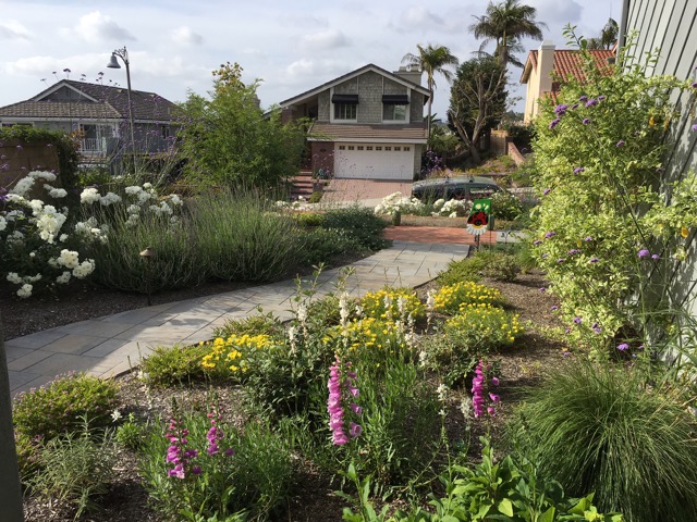 Landscape Designer Contractor In Orange County Drought